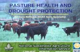 PASTURE HEALTH AND DROUGHT PROTECTION...Pasture Health and Drought Protection Slide 3 Management Flexibility • Know your farm resources – Soil type and soil quality – Forage