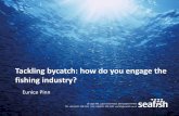 Tackling bycatch: how do you engage the fishing industry? · 18 Logie Mill, Logie Green Road, Edinburgh EH7 4HS TEL +44 (0)131 558 3331 FAX +44(0)131 558 1442 seafish@seafish.co.uk