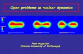 Open problems in nuclear dynamicsmagiersk/prezentacje/ganilmeeting_magierski.pdf · type stochastic force simulating interaction with other degrees of freedom. - Relation between