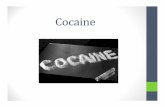 Student Overview - Cocaine Abuse Education.ppt …...Whitney Houston’s Battle What is It? Cocaine • Coke, blow, snow, nose candy etc. • Powerful, addictive stimulant drug •