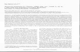 Pasteuria penetrans (ex Thome, 1940) nom. rev., comb, n ...bionames.org/bionames-archive/issn/0018-0130/52/149.pdf · 3.0% (w/v) glutaraldehyd e in 0.05 M phosphate buffe r (p H 6.8)