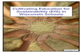 Cultivating Education for Sustainability (EfS) in ...eeinwisconsin.org/content/eewi/100335/InputProcessSummary(1).pdf · goal, as educators, is to explore the key concepts that will