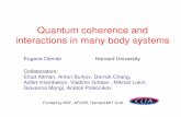 Quantum coherence and interactions in many body …cmt.harvard.edu/demler/old_talks/2007_JQI.pdfrandom fractal stochastic interface, high energy limit of multicolor QCD, … Interference