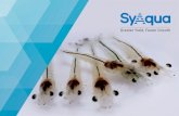 their yield and productivity throughsyaqua.com/pdf/SyAqua Hatchery Feed Product Brochure_(website).… · Gold Coin, a leading Asian aquafeed company to develop improved genetic and