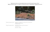 Silviculture Guidelines and Practices for …...Silviculture Guidelines and Practices for Maintaining or Recruiting Key Habitat Objectives Report prepared for: Ministry of Water, Land