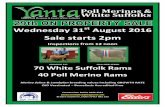 Sale starts 2pm - Yanta Sheep Studs€¦ · the time of writing however the relativities rarely change so not to worry. This year I measured staple length on the 5th August when they