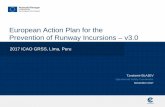 European Action Plan for the Prevention of Runway ... · Tzvetomir BLAJEV Operational Safety Coordinator November 2017 European Action Plan for the Prevention of Runway Incursions