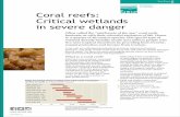 Fact Sheet on Wetlands Coral reefs: Critical wetlands in severe … · 2015-05-19 · Coral reefs are suffering dramatically from human-induced and natural pressures. 75% of the world’s