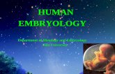 HUMAN EMBRYOLOGY - 吉林大学基础医学院medicine.jlu.edu.cn/__local/7/BF/2A/2B518D676EE9AD... · EMBRYOLOGY Department of Histology and Embryology Jilin University. Chapter