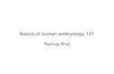 Basics of human embryology 101 - WordPress.com · Basics of human embryology 101 Ramray Bhat. Assignment 1 3 dissimilar disorders each of epithelial tissues, connective tissues, muscular
