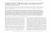 Transcription factor AP-2 is expressed in neural crest cell …genesdev.cshlp.org/content/5/1/105.full.pdf · 2007-04-26 · Transcription factor AP-2 is expressed in neural crest