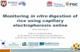 Monitoring in vitro digestion of rice using capillary electrophoresis … · 2017-07-31 · Monitoring In vitro Digestion Of Rice Using Capillary Electrophoresis (CE) Online 3 Aim
