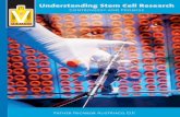 Understanding Stem Cell Research · 2015-11-05 · hundred or so of these different cell types – bone cells, skin cells, muscle - 6 - cells and blood cells are only some of these