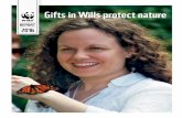 Gifts in Wills protect nature - WWF-Canadaawsassets.wwf.ca/downloads/wwf_impactreport.pdf · Gifts in Wills protect nature 2016 REPORT. 2016 marks my 38th year at WWF-Canada Every