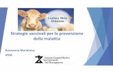 Strategie vaccinali per la prevenzione della malattia · Strategie vaccinali per la prevenzione ... regione della testa, del collo, del torace, e perineale (a volte anche sulla ...