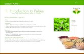 1: Introduction to Pulses and the International Year of Pulses · 2018-11-29 · 1: Introduction to Pulses and the International Year of Pulses Primary Schoolchildren – Ages 8-11