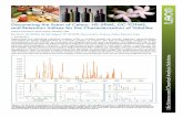 Discovering the Scent of Celery: HS-SPME, GC-TOFMS, and ...€¦ · Key Words: GC-TOFMS, GC-MS, Pegasus BT, HS-SPME, Deconvolution, Produce, Celery, Retention Index® 1.Introduction