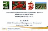 Vegetable crops Production Cost and Return Analysis: What ... workgroup/VegCropsPT_201… · Cost Category Celery Fresh Processed Cabbage Land Prep 430 469 443 848 Planting 1,502