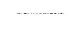 RECIPE FOR SDS-PAGE GEL - EcoliWiki€¦ · Solutions for Tris/Olyctn. SDS- Polyacrylamide Gel Electrophoresis 30 ml 15.9 6.0 7.5 0.3 0.3 0.024 30 ml 13.9 8.0 7.5 0.3 0.3 0.018 30