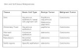 Tissue Basic Cell Type Benign Tumor Malignant Tumor · Skin Tissue Basic Cell Type Benign Tumor Malignant Tumor Skin and Soft tissue Malignancies . Lymph vessels Endothelium Lymphangioma