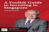 A Foolish Guide to Investing in Singapore · 7 Motley Fool Singapore We can, perhaps, illustrate this with Raffl es Medical Group through its fl agship Raffl es Hospital in Singapore,