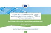 Funcții - European Commission | Choose your …ec.europa.eu/.../competency/glossary_js_ro.docx · Web viewPlanificarea resurselor Demonstrarea capacității de a gestiona resursele