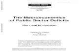 The Macroeconomics of Public Sector Deficitsdocuments.worldbank.org/curated/en/... · The authors also examine why, despite these market, but the accumulation of domestic debt deficits,