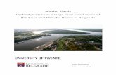 Hydrodynamics at a large river confluence of the Sava ...essay.utwente.nl/76849/1/Harmannij, F.J. 1479814 _openbaar.pdf · HYDRODYNAMIC AT A LARGE RIVER CONFLUENCE OF THE SAVA AND