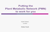 Putting the Plant Metabolic Network (PMN) to work for you€¦ · What is in the PMN? pMost recent release of PMN databases: October 15, 2009 pHow can I access all this information?