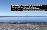 Marine Invasive Species Identification Guide - psp.wa.gov · Olympia, WA 98501 puget Sound partnership P.O. Box 40900 Olympia, WA 98504 nahkeeta northwest Wildlife Services P.O. Box