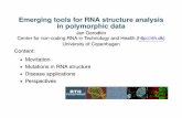 Emerging tools for RNA structure analysis in polymorphic data · (Ding et al., Nature, 2014) Computational folding of RNA sequences. Contributions from structural components Folding