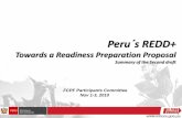 Towards a Readiness Preparation Proposal · Declaration of Tarapoto (October 2008). Mesa REDD (civil society roundtable) is invited to participate in coordination meetings for R-PP