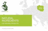 NATURAL INGREDIENTS · 2020-07-05 · creating healthy natural products with high fibre content. We created innovation in liquid applications – insoluble fibre in ultra fine powder