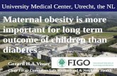 Maternal obesity is more important for long term outcome ...dtogi.ir/MckUpload/file/4_prof visser.pdf · Botafumeiro. University Medical Center, Utrecht, the NL Gerard H.A.Visser