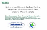 Nutrient and Organic Carbon Cycling Processes in Tidal ...scienceconf2014.deltacouncil.ca.gov/sites/default/...Oct 30, 2014  · 11 13 15 17 19 21 23 25 tal ll 0.00 0.03 0.06 0.09