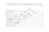 IAM Project Management Processes - AITS · IAM Project Management Processes ... Technical team task management and allocation: Each week, Christina and Marla will review the project