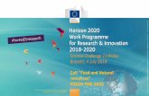 Societal Challenge 2 Infoday - European Commission · 2019-07-12 · Call “Food and Natural ... •Be flexible to respond in real-time to potentially fest changing policy scenarios