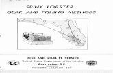 SPINY LOBSTER GEAR AND FISHING METHODS · 2017-03-28 · fishermen have effectively used several types of gear and fishing methods. Although some of these are now illegal in Florida,