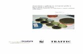 Report prepared by TRAFFIC Europe · на авторско право и могат да се възпроизвеждат с разрешение. Всяко възпроизвеждане