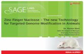 Zinc Finger Nuclease – The new Technology for Targeted …€¦ · • Zinc Finger Nuclease Technology • Targeted Knockout Zebrafish • Targeted Knockout/-in Rats and Mice •