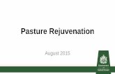 Pasture Rejuvenation - Saskatchewan Forage · 2016-11-16 · August 2015 . Why and When to Rejuvenate . Identify the source Grazing management (time, length, frequency) ... PowerPoint