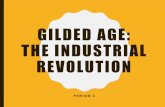 Gilded Age: The Industrial Revolutionnawhiting.com/wp-content/uploads/2016/08/Gilded-Age-Chap-24-Ind… · IMMIGRATION OLD IMMIGRATION •Up to 1880s, most immigrants had come from