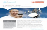 Capgemini Group: the Telco Testing Specialists · 2014-11-07 · Capgemini Group: the Telco Testing Specialists Don’t take our word for it… We gave the largest Mobile Operator