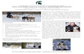 DOG SLEDDING and ICE CAVES in NORTHERN …...Nature’s Kennel Sled Dog Adventures and Rac-ing Team with owner Tasha Stielstra. Tasha will give a short presentation about Nature’s