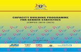 CAPACITY BUILDING PROGRAMME FOR GENDER STATISTICS...results of the capacity assessment study revealed that capacity building initiatives existed within selected Ministries, Department