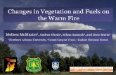 Changes in Vegetation and Fuels on the Warm Fire · Lotus wrightii- Wright's deervetch Pseudognaphalium macounii- Cotton cudweed Antennaria parvifolia- Small leaf pussytoes Androsace