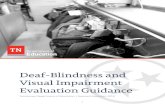 Deaf-Blindness and Visual Impairment Evaluation Guidance...Deafness is the most severe form of hearing impairment. According to the National Dissemination Center for Children with
