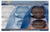 Executive Summary E - UNFPA · 2019-12-21 · results frameworks: The Global Programme on Reproductive Health Commodity Security, UNFPA, 2008 The Campaign to End Fistula, Global Programme