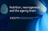 Nutrition, neurogenesis and the ageing brain · Nutrition and cognitive decline (1) •Cognitive function declines from early adulthood onwards, even in healthy individuals free from