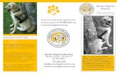 Service Dogs for America - North Dakota brochure REV090613.pdf · Trained Service Dogs Service Dogs for America— recently provided testimony before North Dakota’s House and Senate,